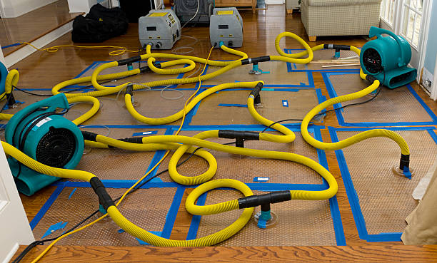 Professional Burst Pipe Water Damage technician working in Deckerville, MI